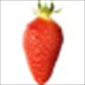 Gariguette Strawberry